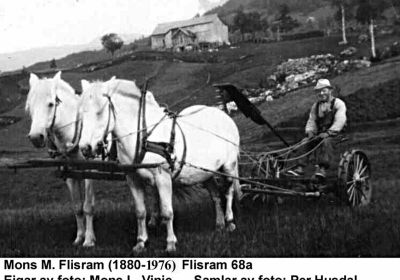  	Flisram