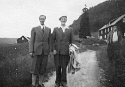 Høen