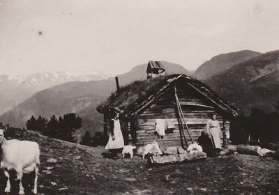 Humlebrekke