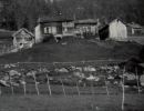 kroken 284