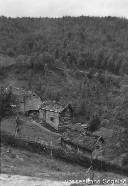 foto019737