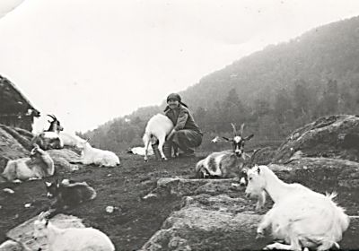 Markusstølen