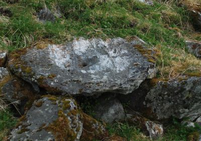 Natur/Kultur
