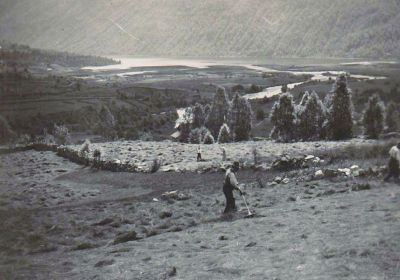 Skjervheim
