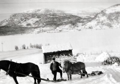 Stora-Hemre