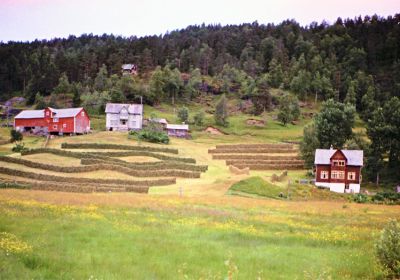 Vasstrondi